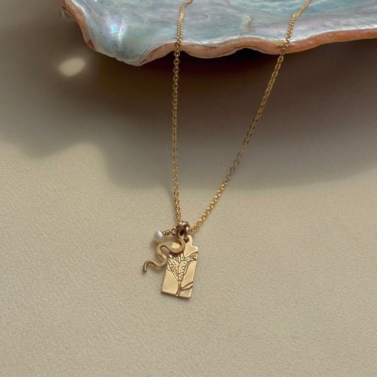 Vida Charm Necklace In Situ