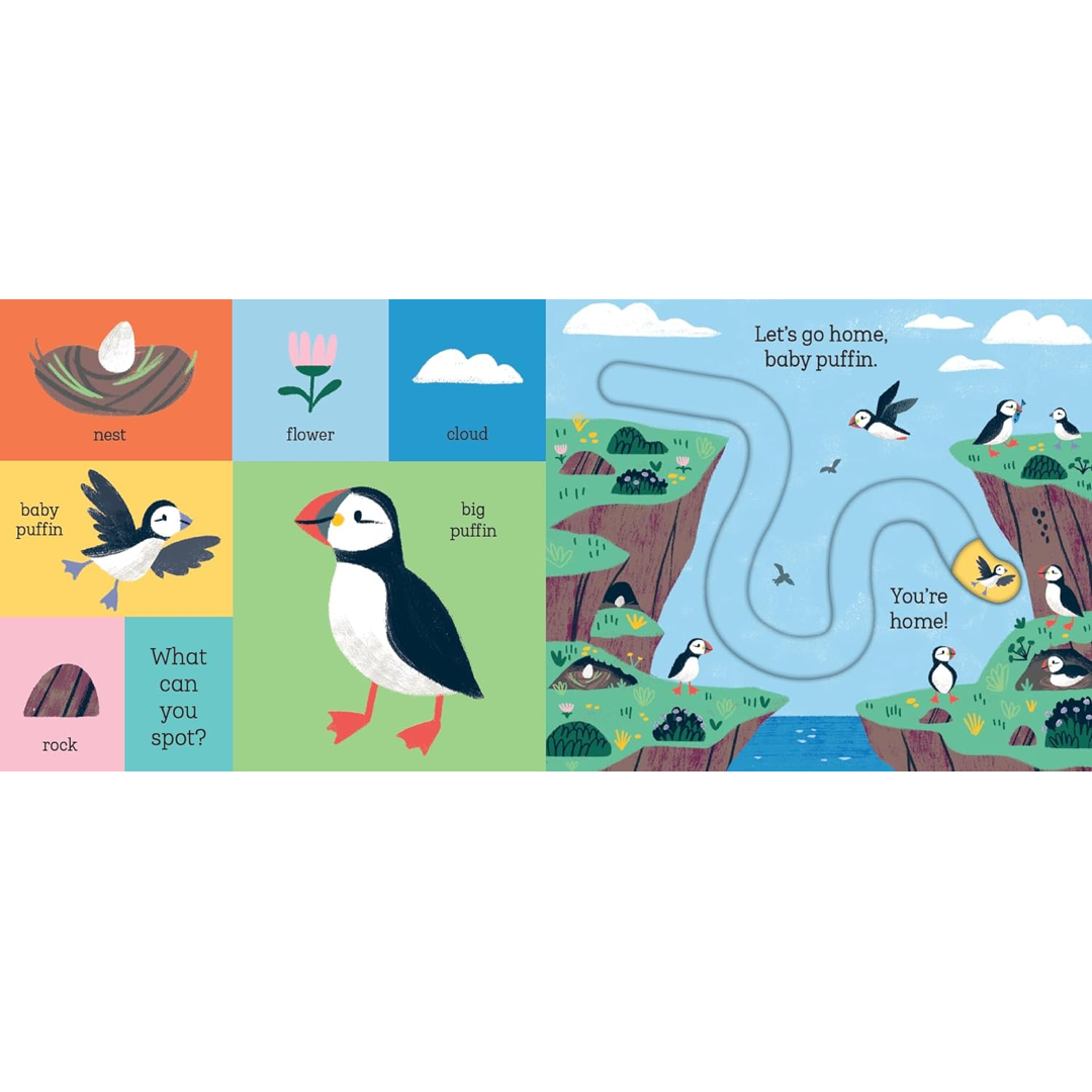 Let's Go Home, Baby Shark Hachette