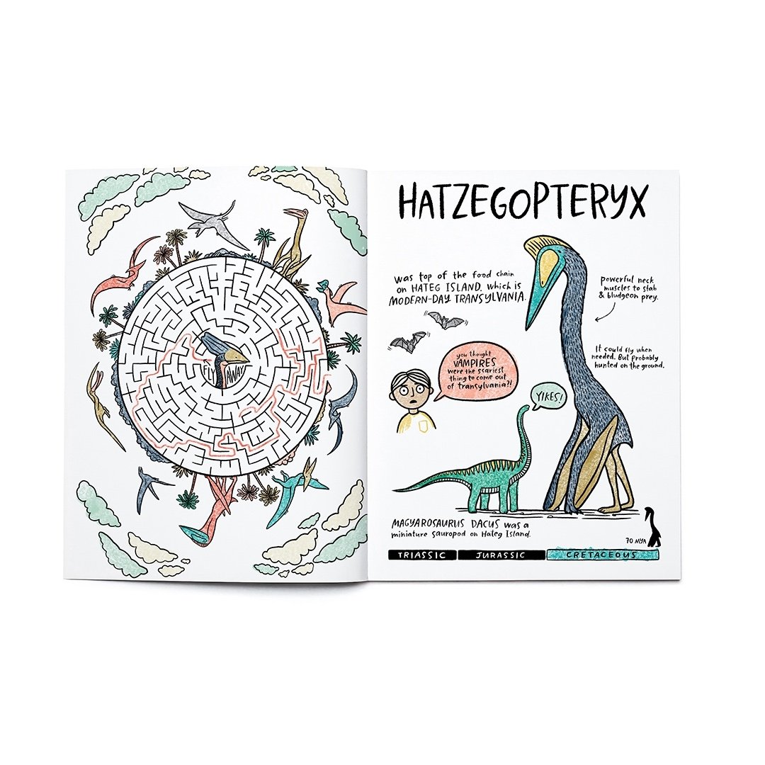Dinosaurs Activity Book