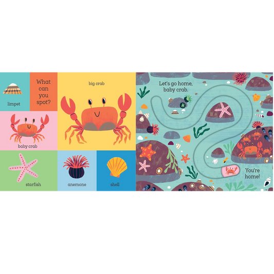 Let's Go Home, Baby Shark Hachette