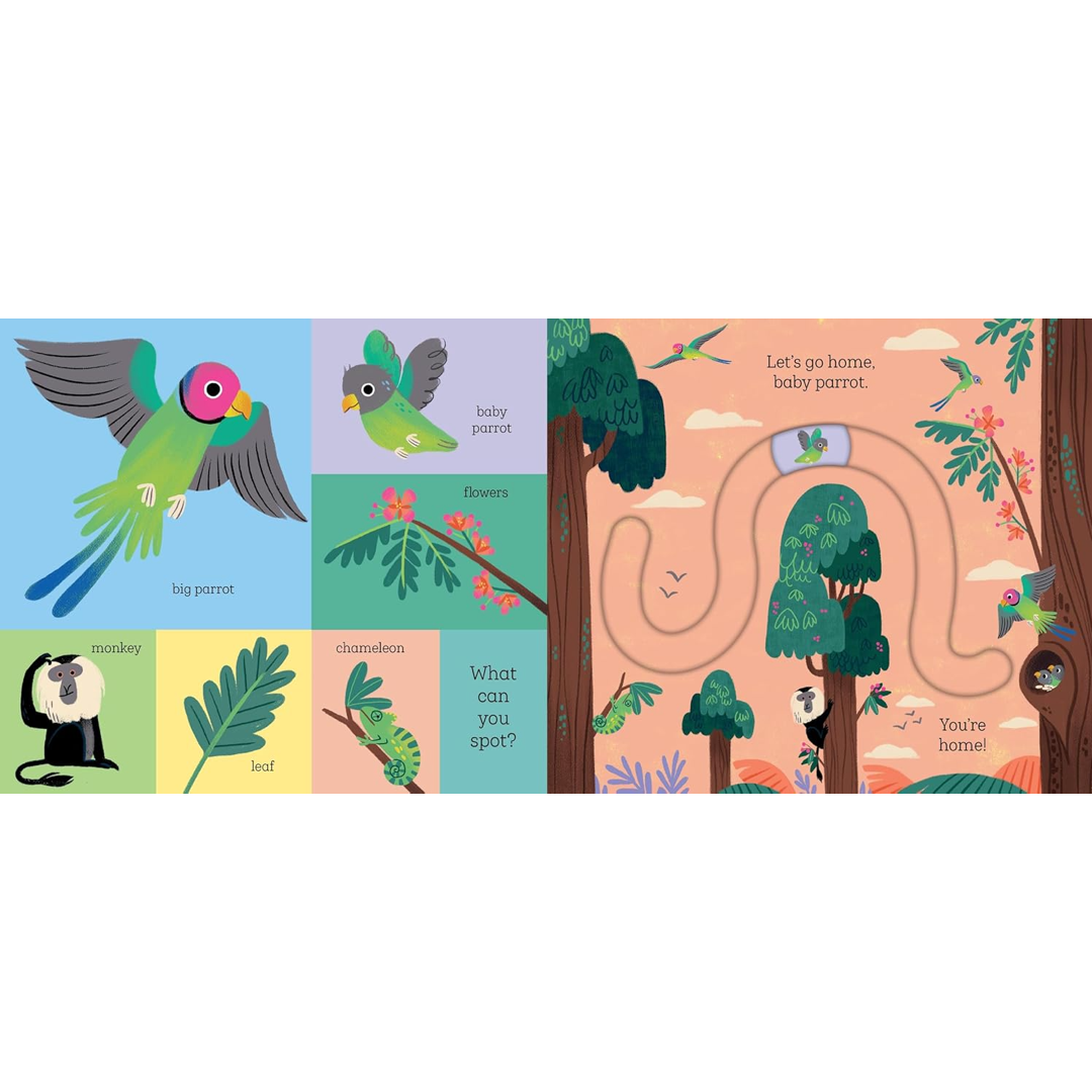 Let's Go Home, Baby Tiger Hachette