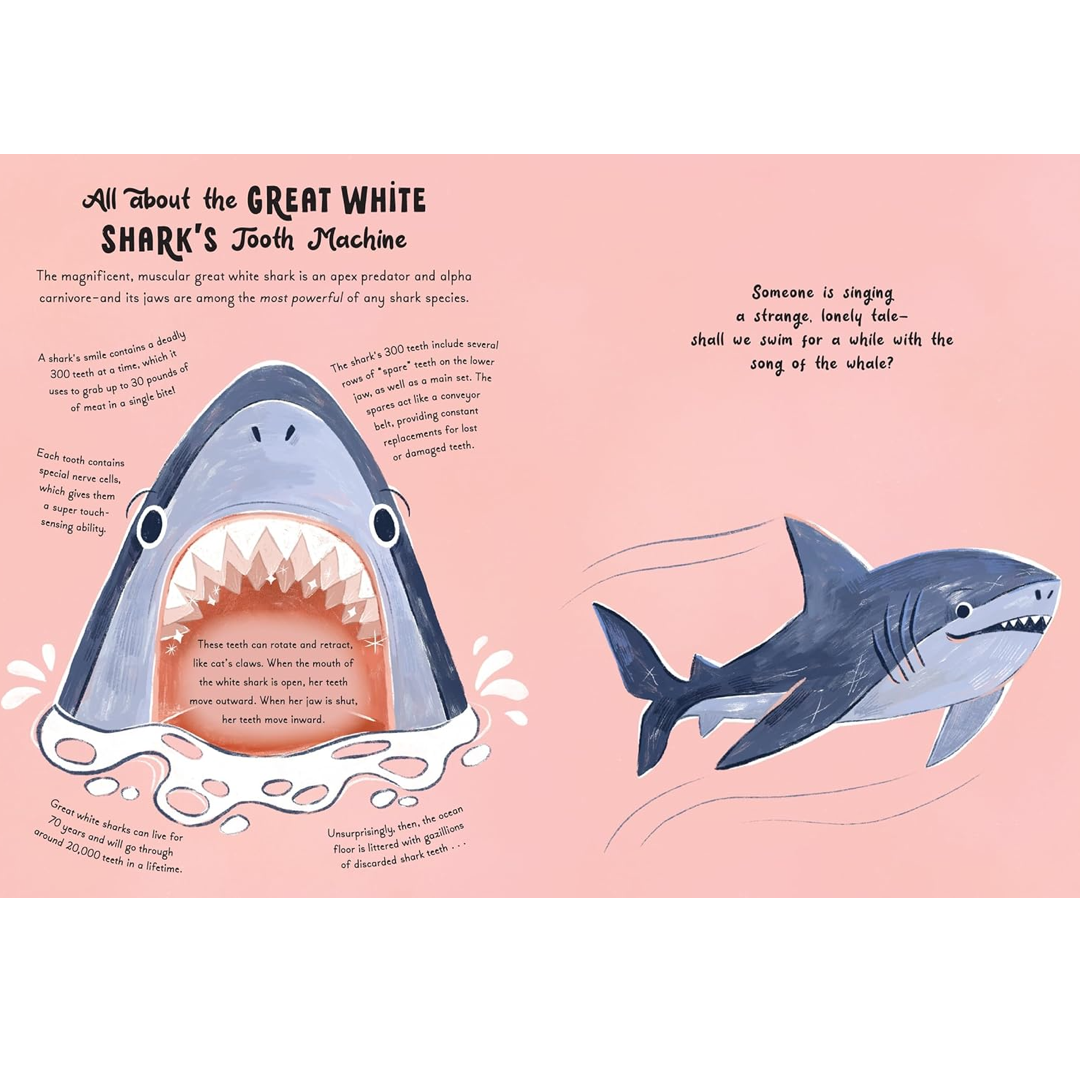 5-Minute Ocean Stories