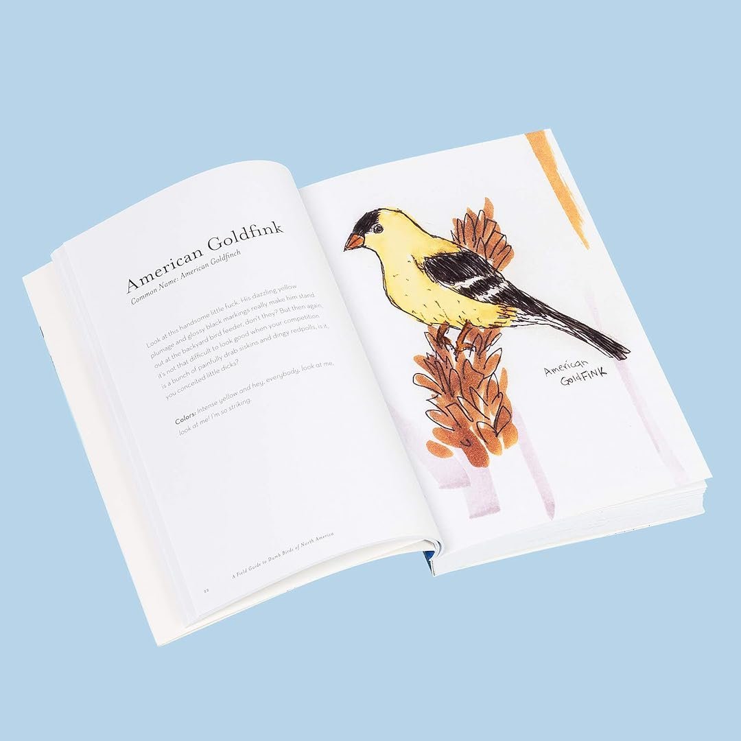 Field Guide to Dumb Birds of North America Chronicle Books