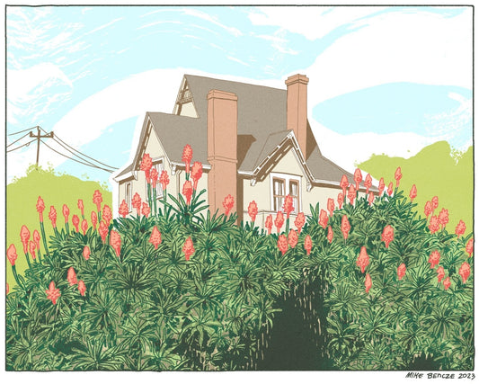 Wilder Ranch Aloe Caves Print Mike Bencze