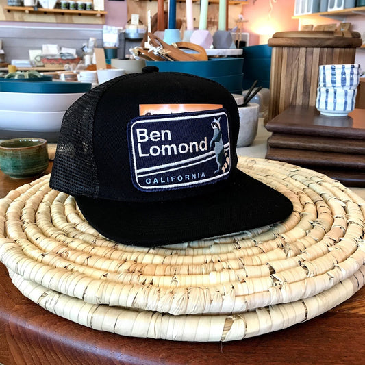 Pocket Hat Bart Bridge