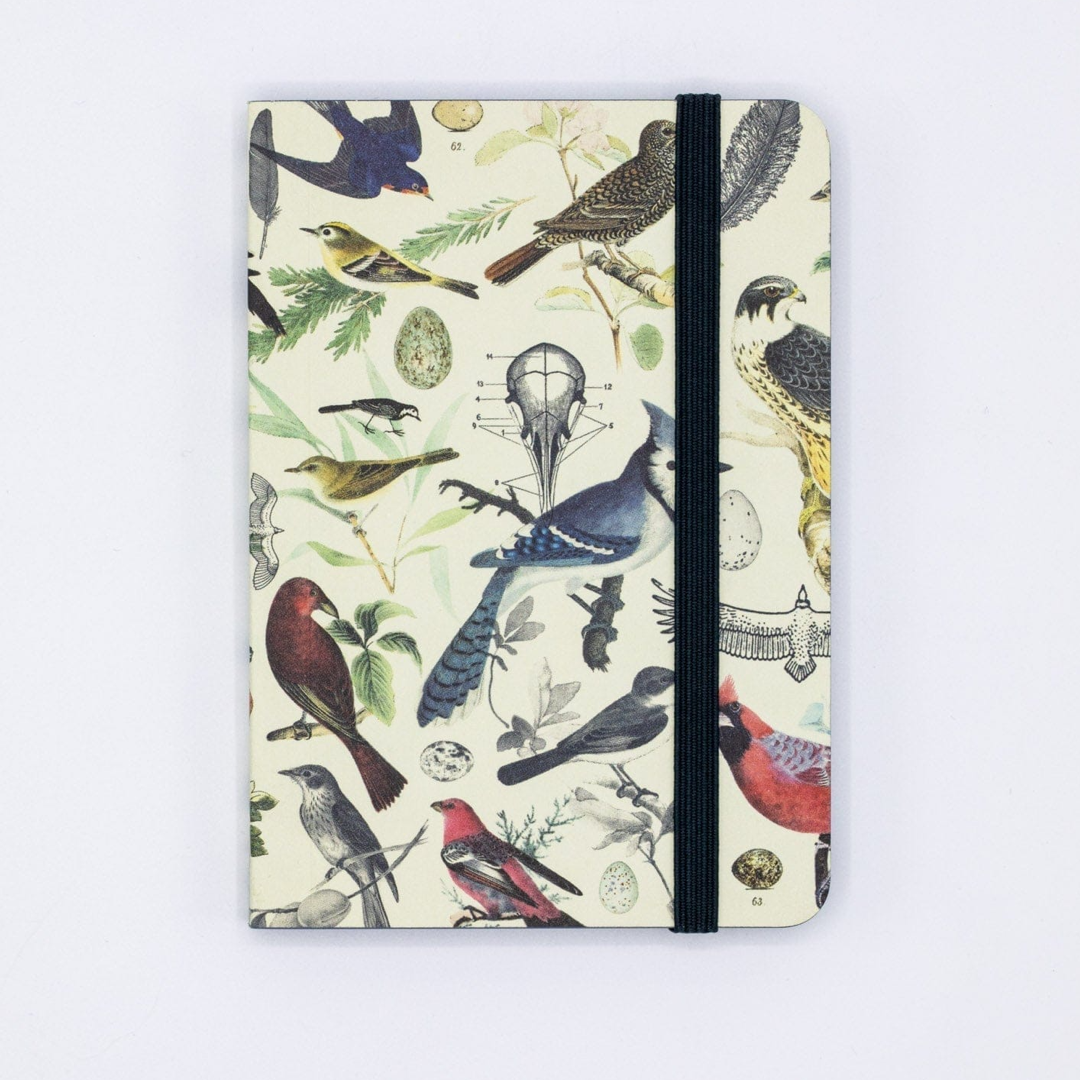 Observation Notebook Cognitive Surplus