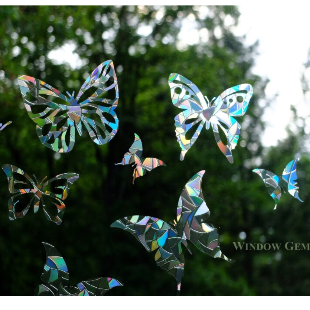 Iridescent butterfly window decorations on a window