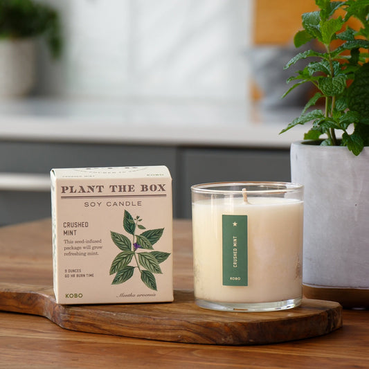 Plant-the-Box Candle Kobo