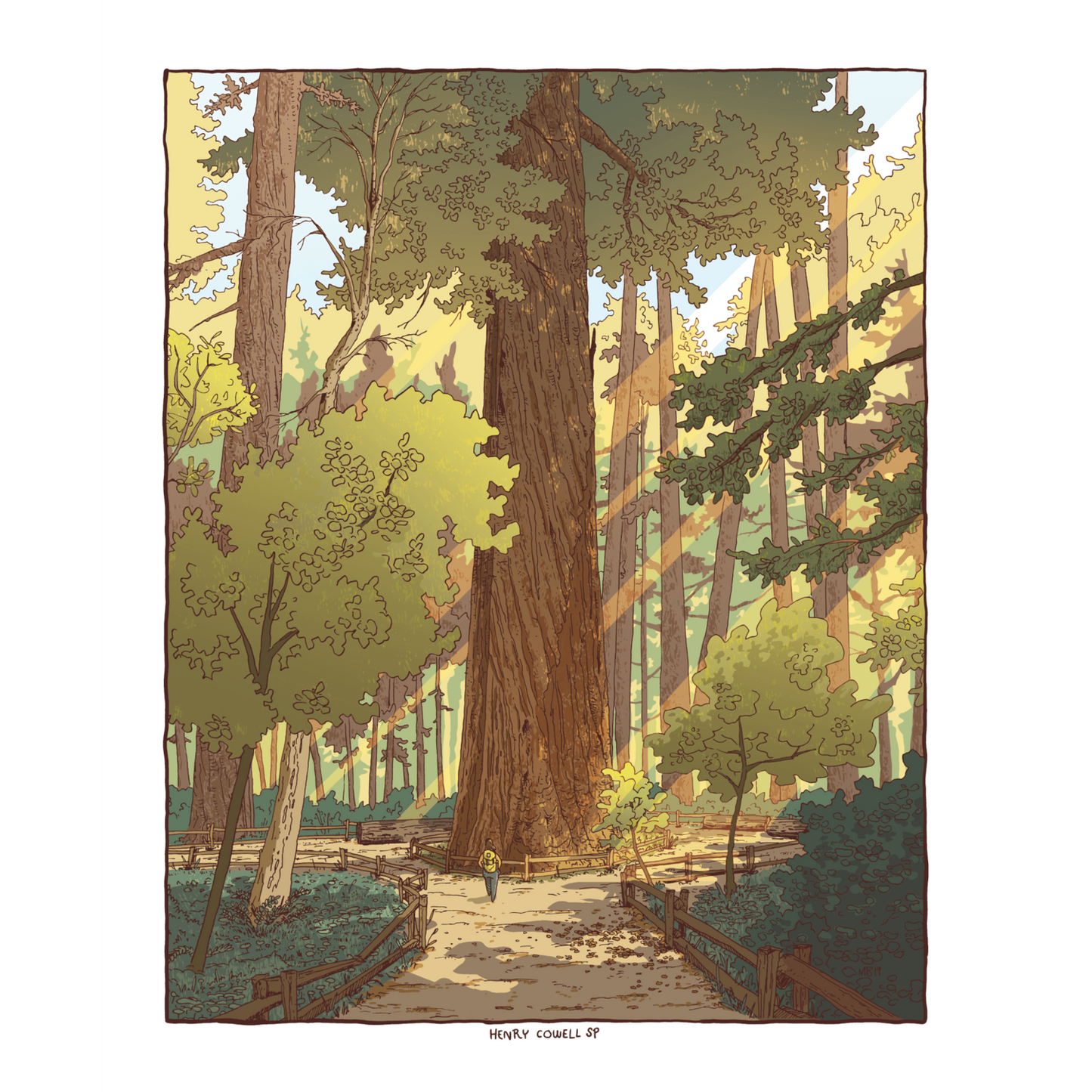 Santa Cruz Redwood Print Mike Bencze