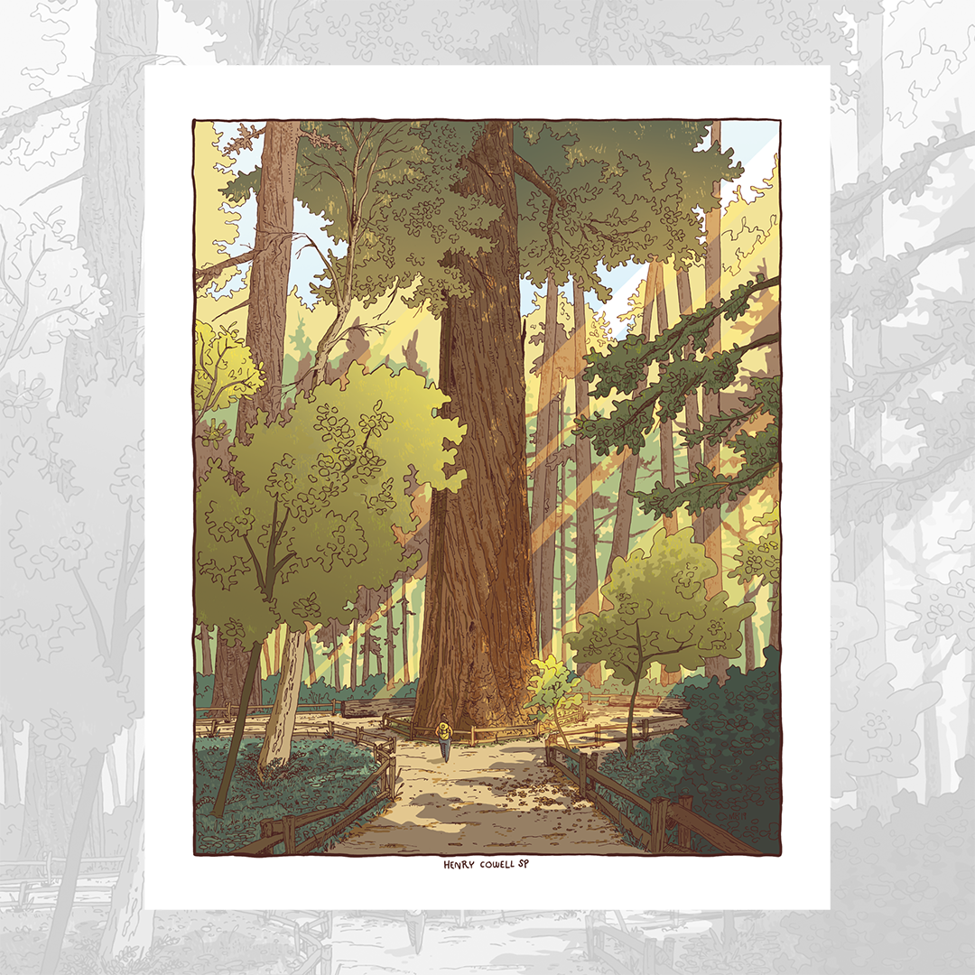 Santa Cruz Redwood Print Mike Bencze