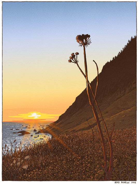 Lost Coast Print Mike Bencze