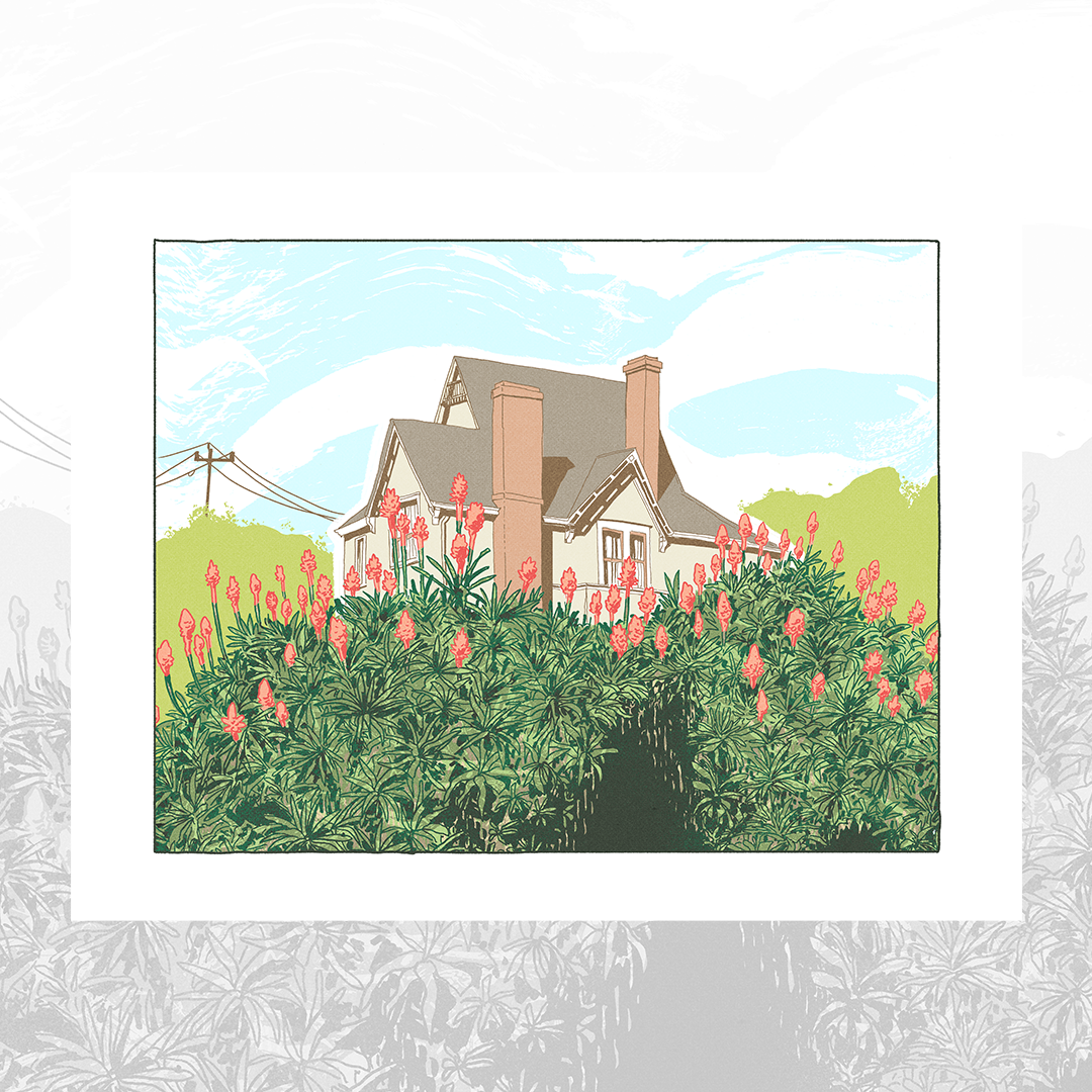 Wilder Ranch Aloe Caves Print Mike Bencze