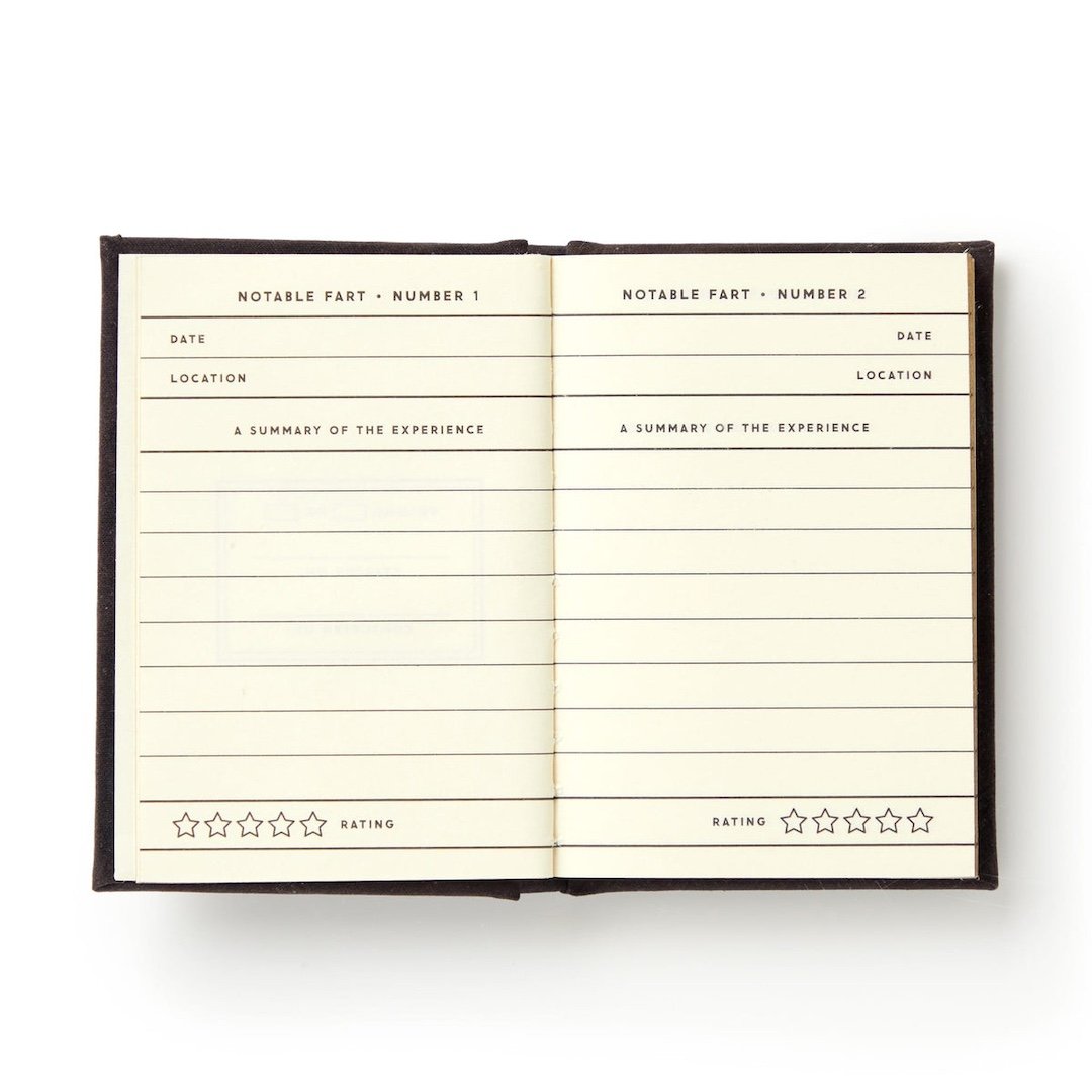 Tiny Fart Diary Chronicle Books