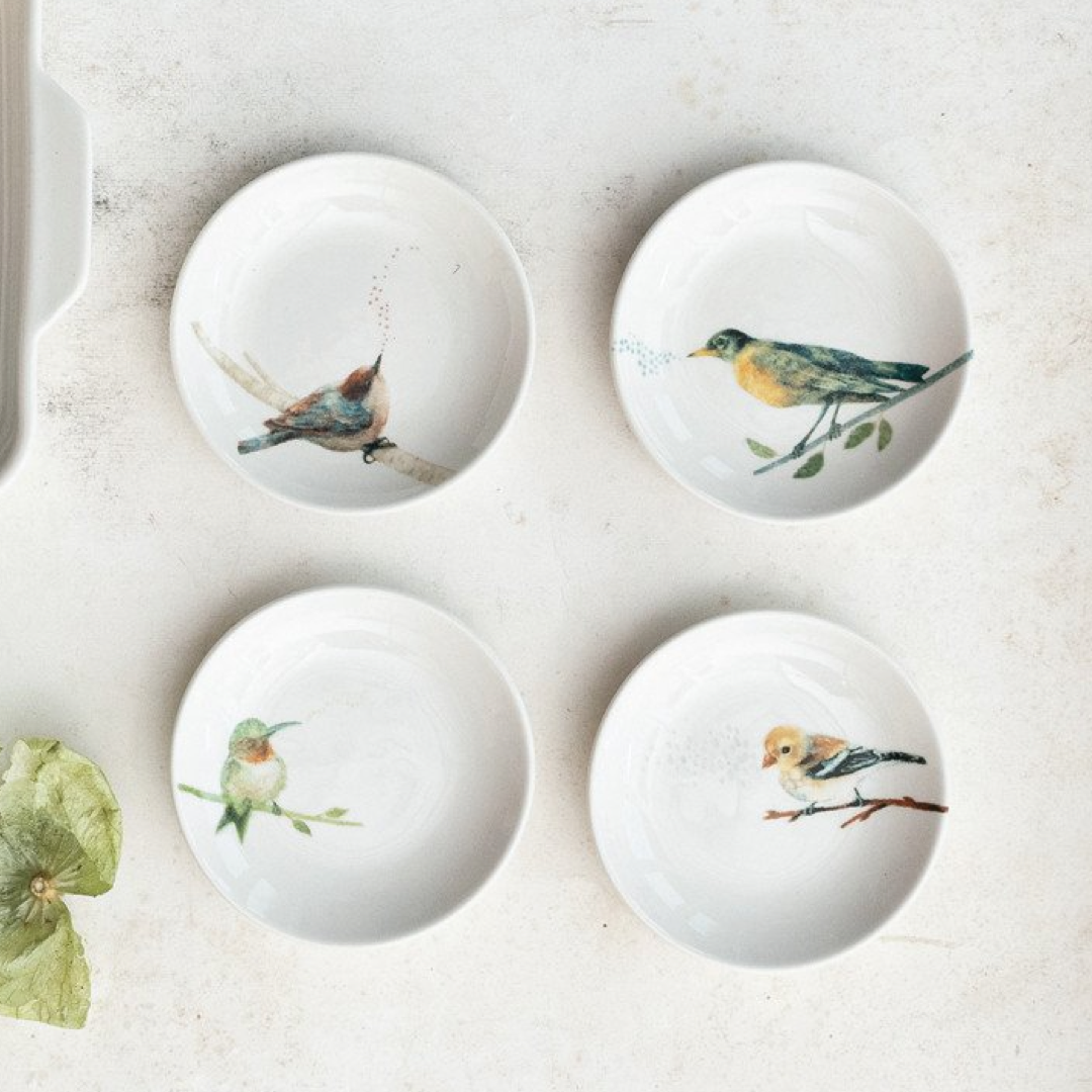 Bird Dish Creative Co-Op