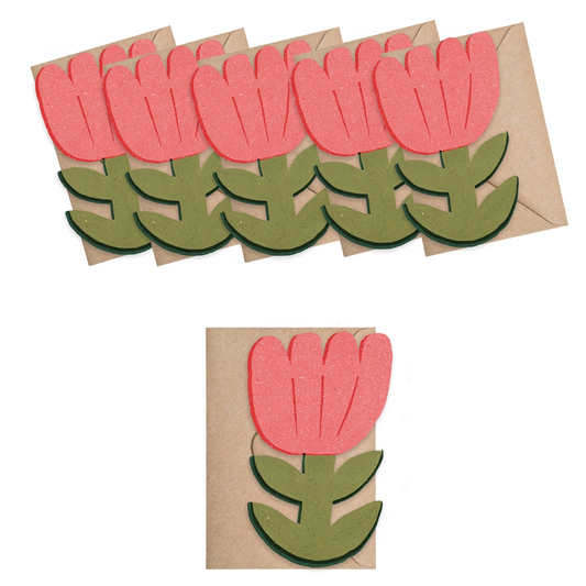 Blooming Flower Mini Cards - Box of 6