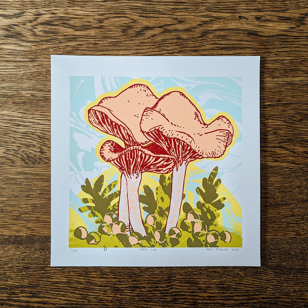 Wavy Cap Mushroom Mike Bencze