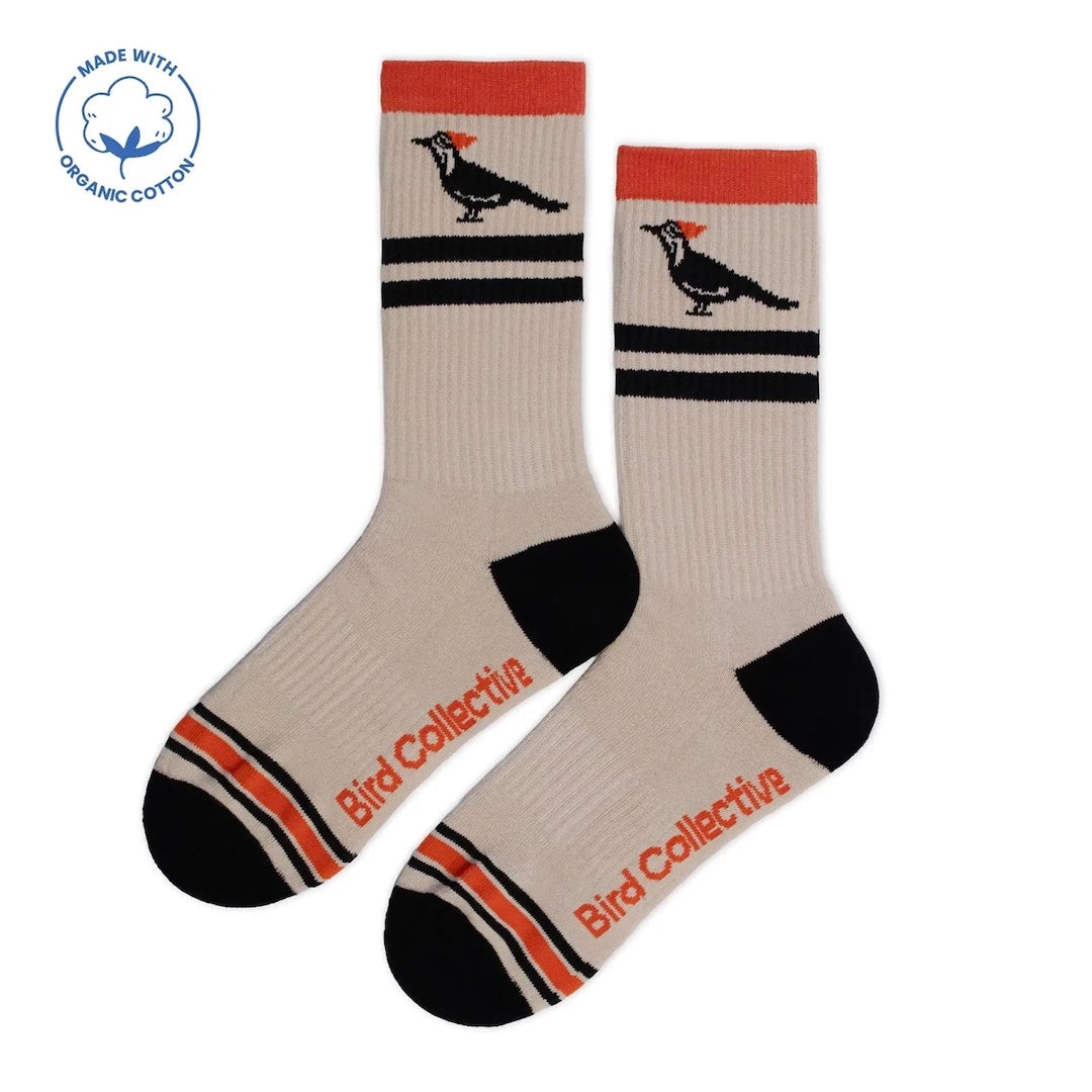 Beige socks with black and red stripes and a woodpecker design, labeled 'Bird Collective', on a white background.