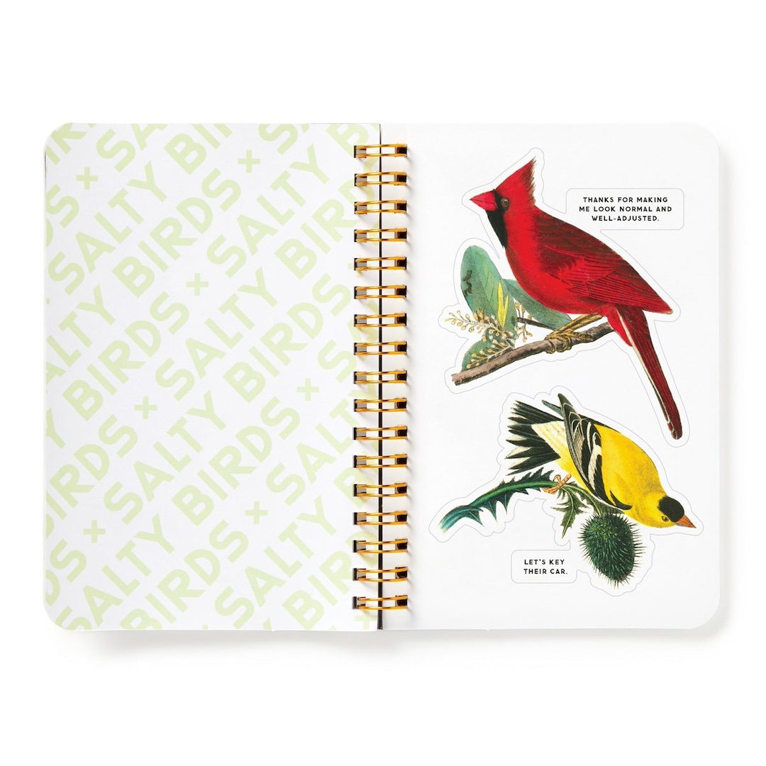 Salty Birds Sticker Book Chronicle Books