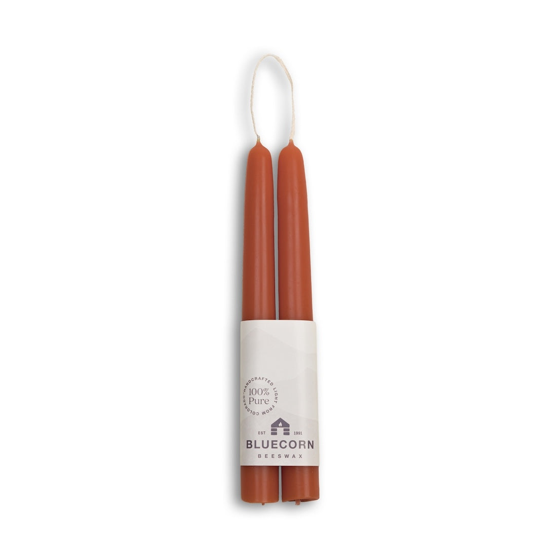 Two terracotta taper candles in a white cylindrical holder with 'Bluecorn' branding on a white background