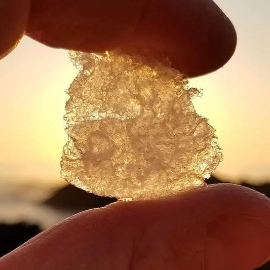 Meet-the-Maker-Big-Sur-Salts Home/Work Santa Cruz