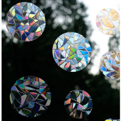 Circles Window Clings