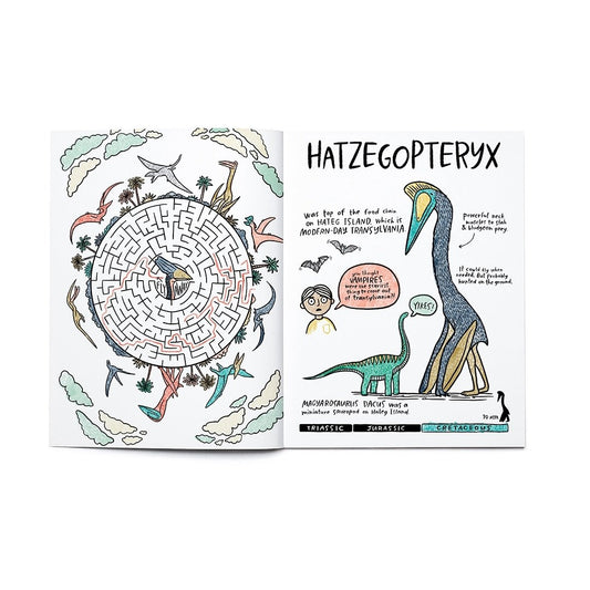 Dinosaurs Activity Book