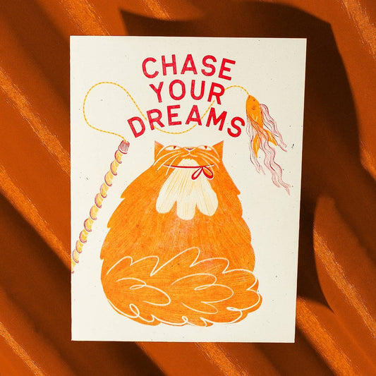 Chase Your Dreams Cat
