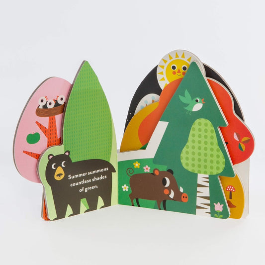 A Forest's Seasons Board Book