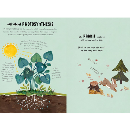 5-Minute Nature Stories