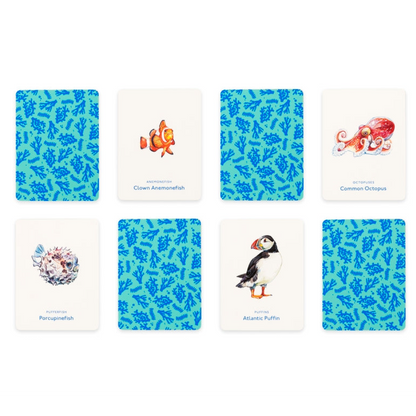 Under the Sea Memory Game