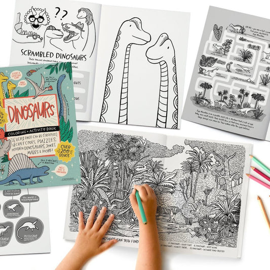 Dinosaurs Activity Book