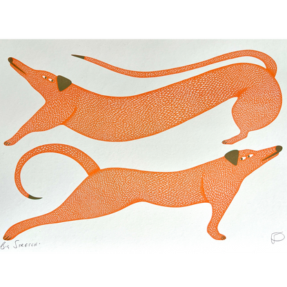 Two orange dogs doing a big stretch on a white background