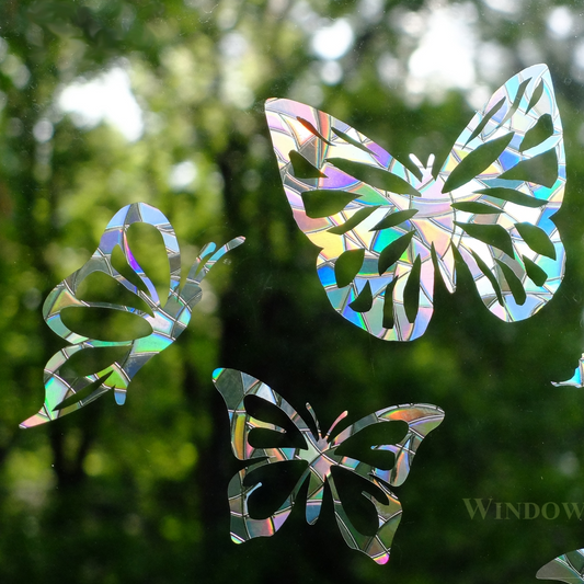 Iridescent butterfly window decorations on a window