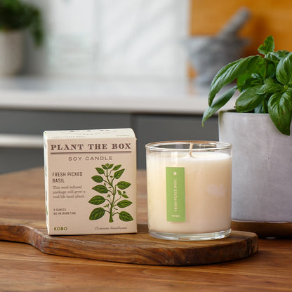 Plant-the-Box Candle