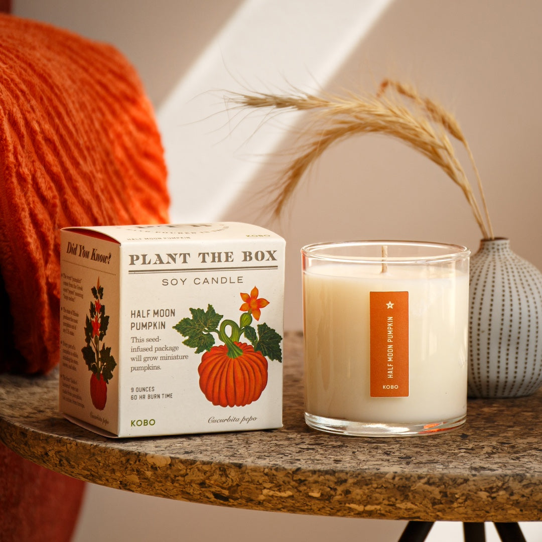 Plant-the-Box Candle