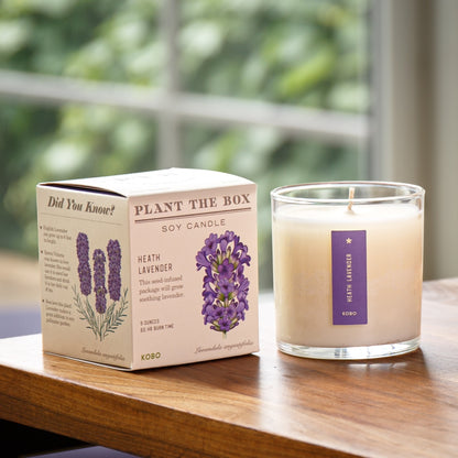 Plant-the-Box Candle