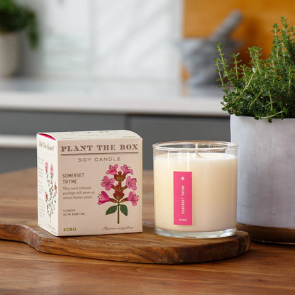 Plant-the-Box Candle