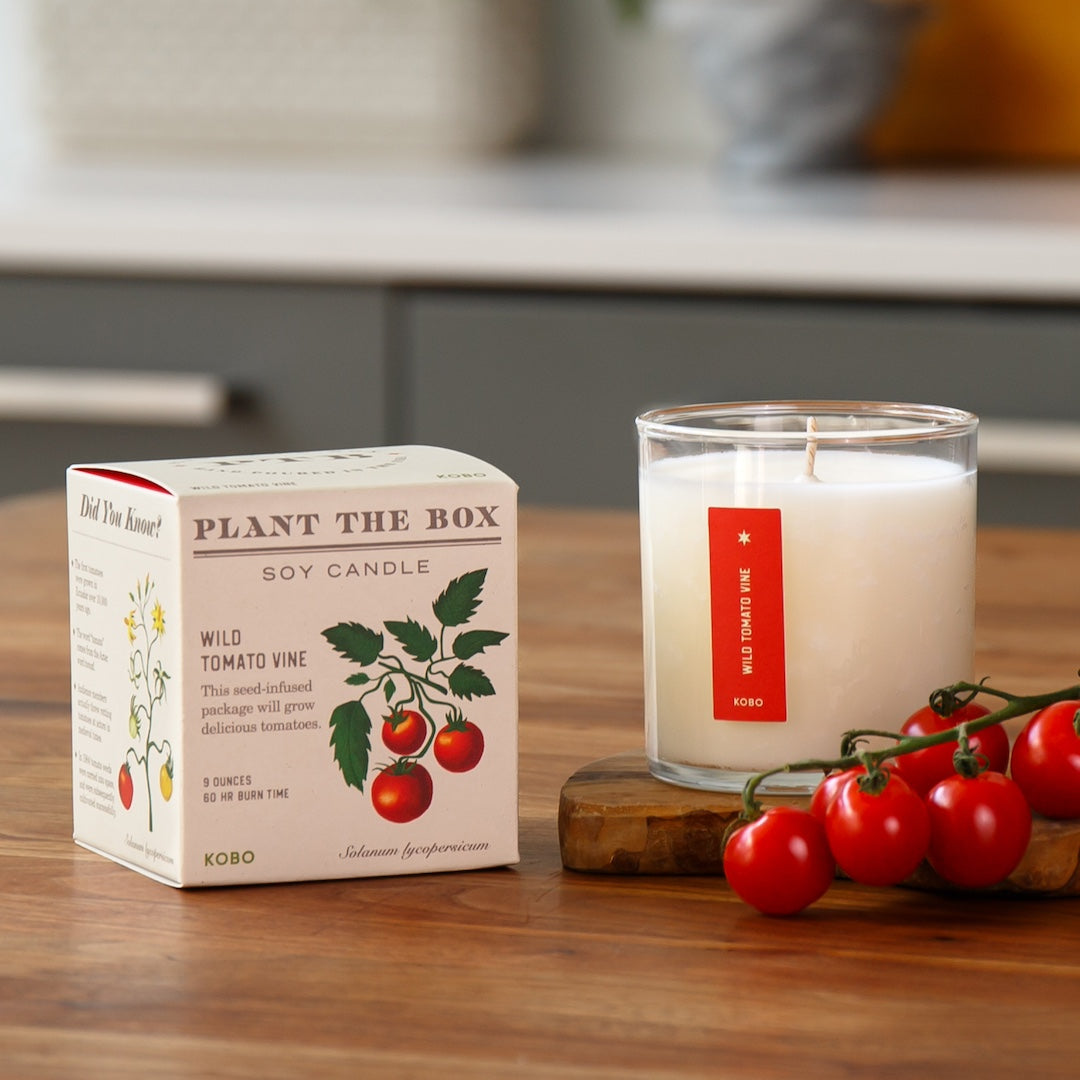 Plant-the-Box Candle