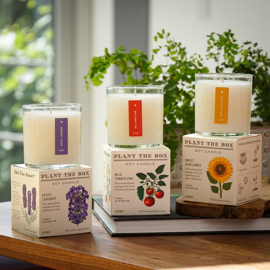 Plant-the-Box Candle
