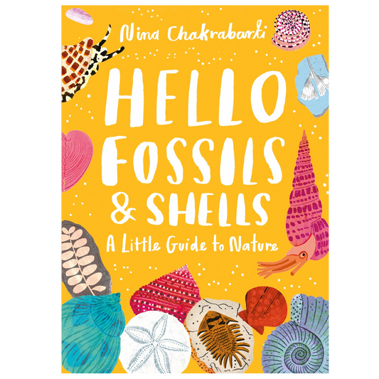 Hello Fossils & Shells