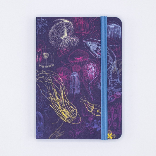 Observation Notebook