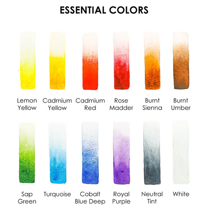 Watercolor Pocket Set Of 12 With Brush