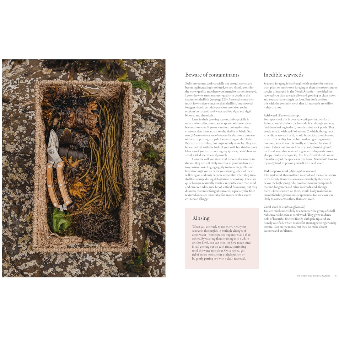 A page from the book The Coastal Forager that talks about the possible contaminants in harvested seaweed and inedible seaweeds