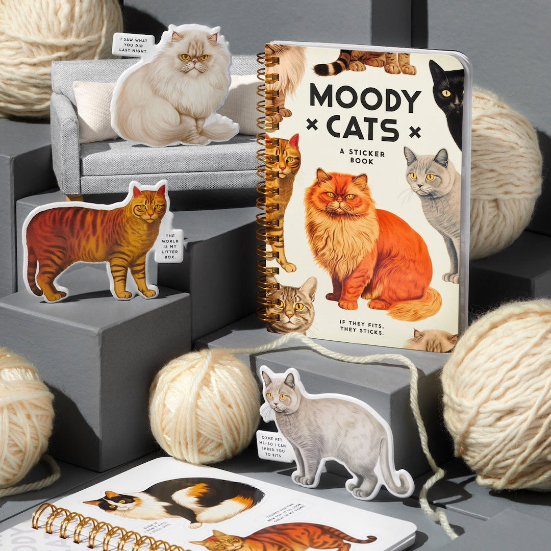 Sticker book titled 'Moody Cats' with cat-themed stickers and yarn balls on a gray surface.