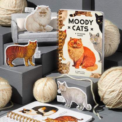 Sticker book titled 'Moody Cats' with cat-themed stickers and yarn balls on a gray surface.