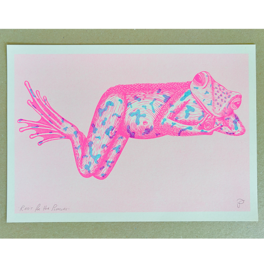 Colorful frog illustration on a light pink background with a green border