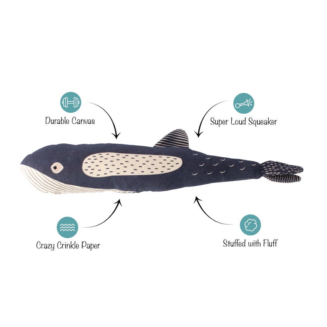 Toy whale with features labeled on a white background