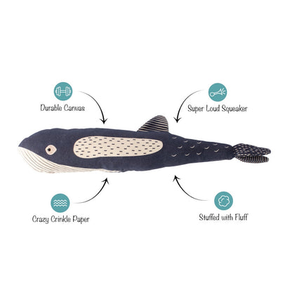 Toy whale with features labeled on a white background
