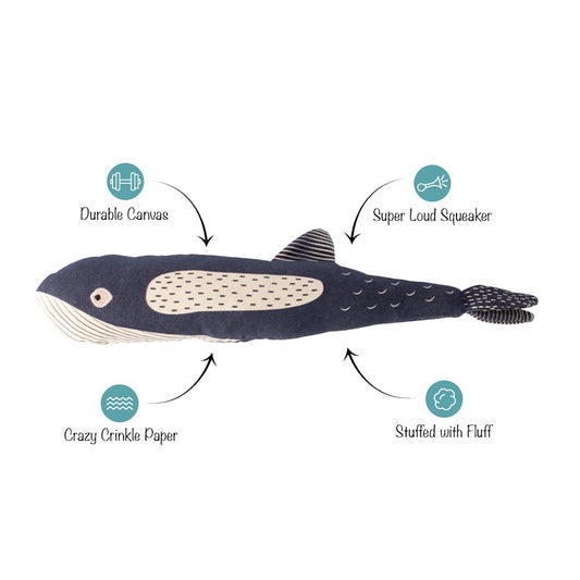 Toy whale with features labeled on a white background