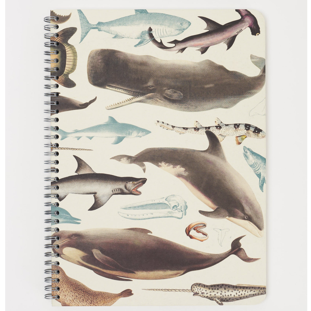 Notebook with marine animal illustrations on a white background